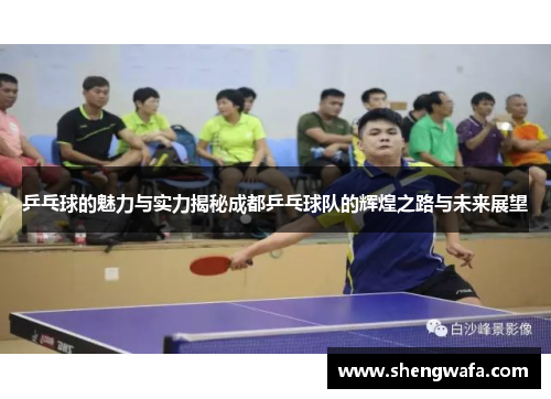 乒乓球的魅力与实力揭秘成都乒乓球队的辉煌之路与未来展望