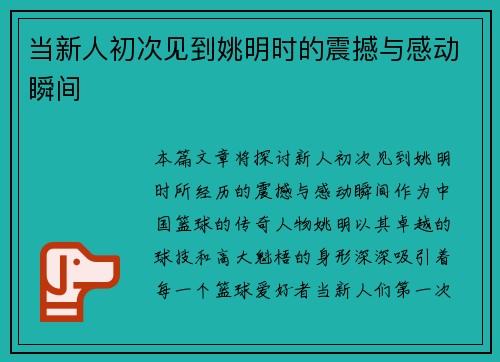 当新人初次见到姚明时的震撼与感动瞬间